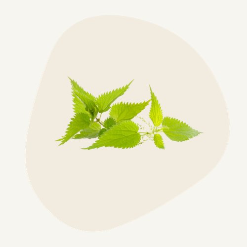 ingredient-hina-care-ortie